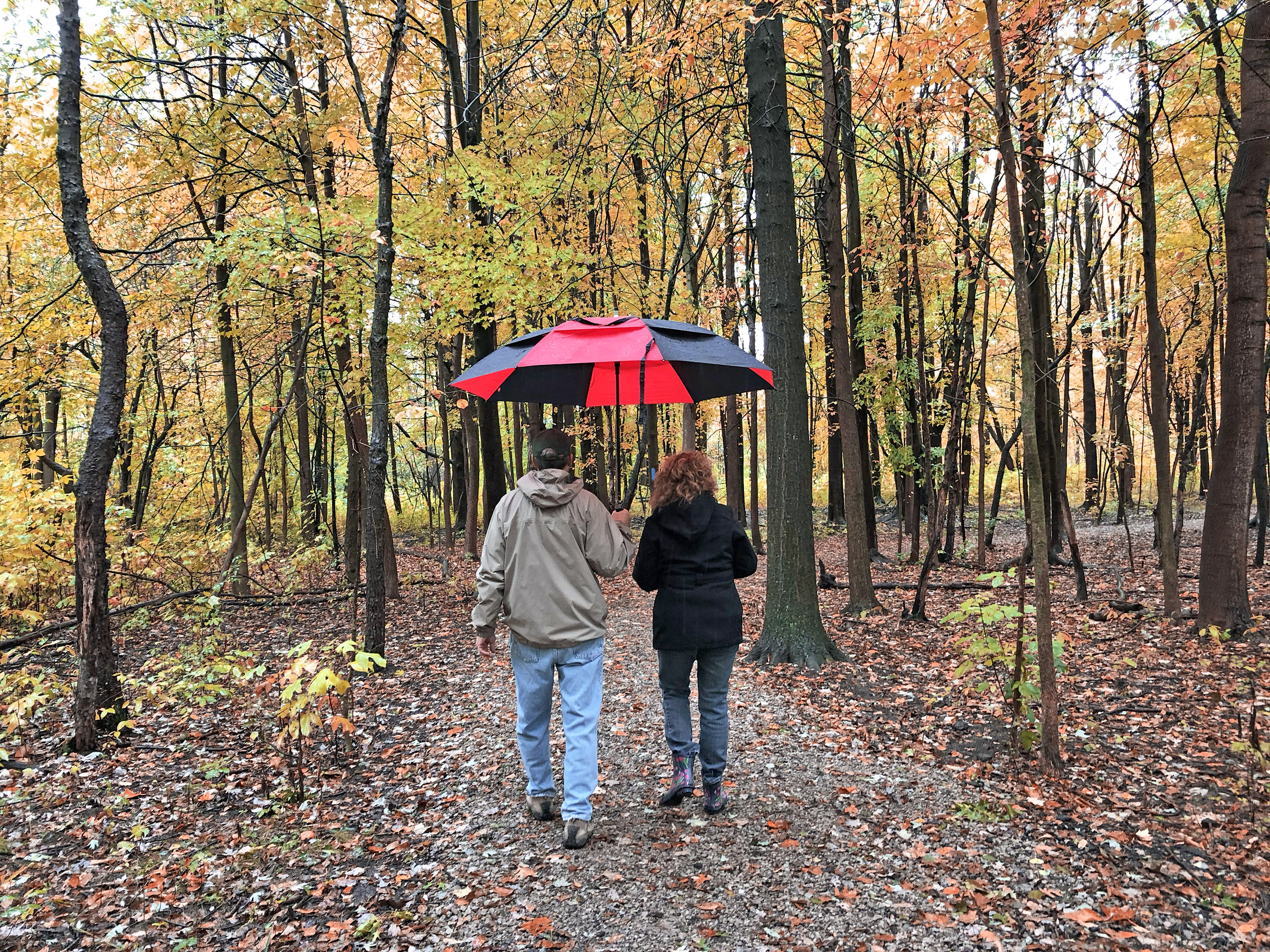 a-walk-in-the-park-erie-reader